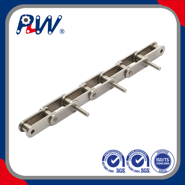 DOUBLE PITCH CONVEYOR CHAIN WITH EXTENDED PINS