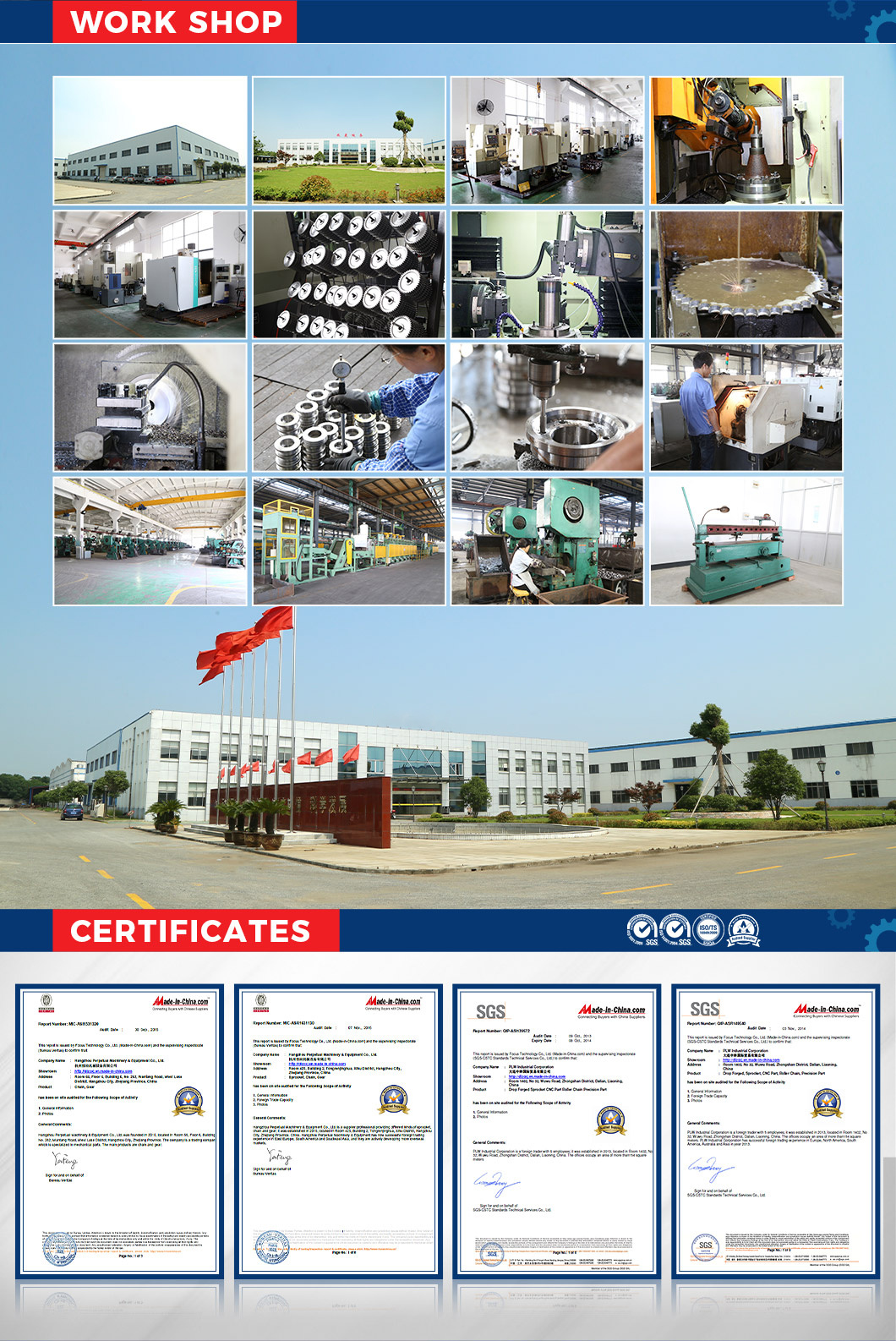 Well Performance China Professional Industrial Custom Made Agricultural Conveyor Chain with High Quality