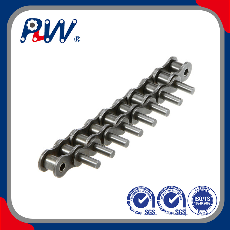 CONVEYOR CHAIN WITH SPECIAL EXTENDED PINS